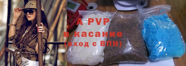 индика Абинск