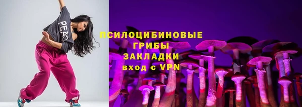 индика Абинск