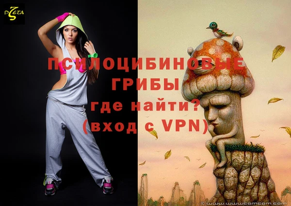 индика Абинск