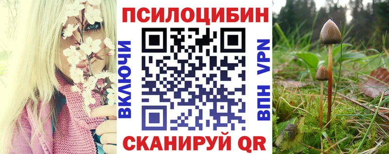 Псилоцибиновые грибы прущие грибы купить закладку блэк спрут ссылки Нижневартовск